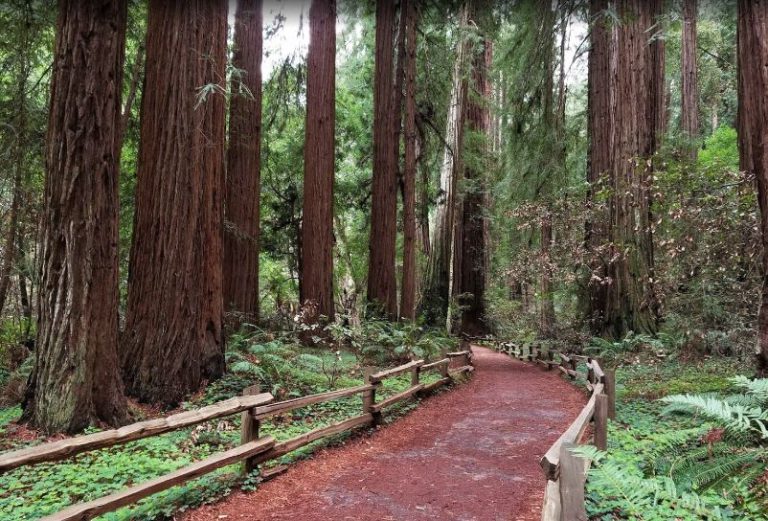 Top Most Famous National Monuments in California