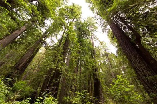 beautiful national parks in northern California, famous national parks in northern California