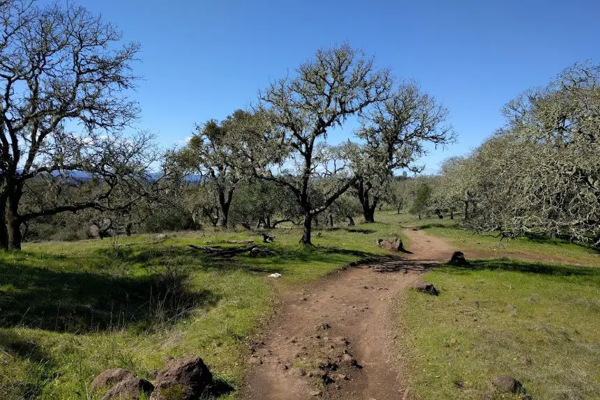 Trione-Annadel State Park