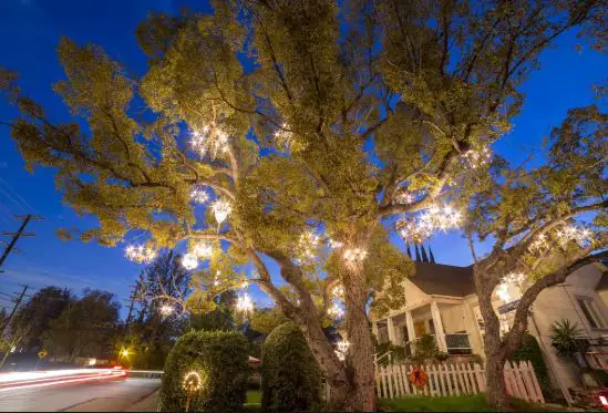 L.A Nightlife things to do in LA at night, things to do in Los Angeles at night