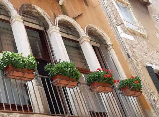 best hotels near Scuola Grande di San Rocco, hotels close to Scuola Grande di San Rocco Venice
