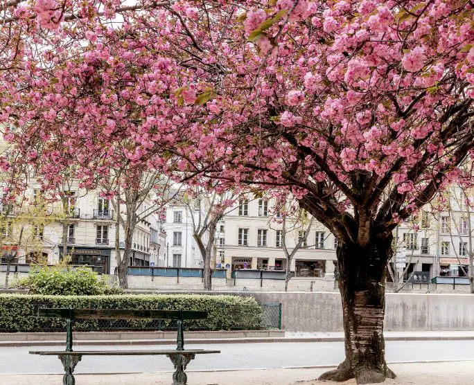 Best Time to Visit Paris, Paris Tour