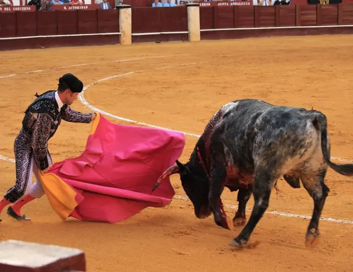 Bullfight in Spain, Bullfight History Spain