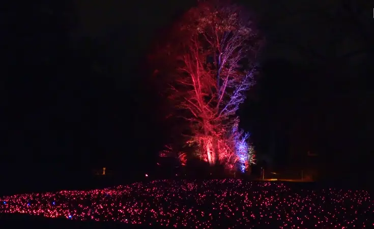 Christmas market in Berlin, best place to celebrate Christmas in Berlin, things to do in Berlin for Christmas, 