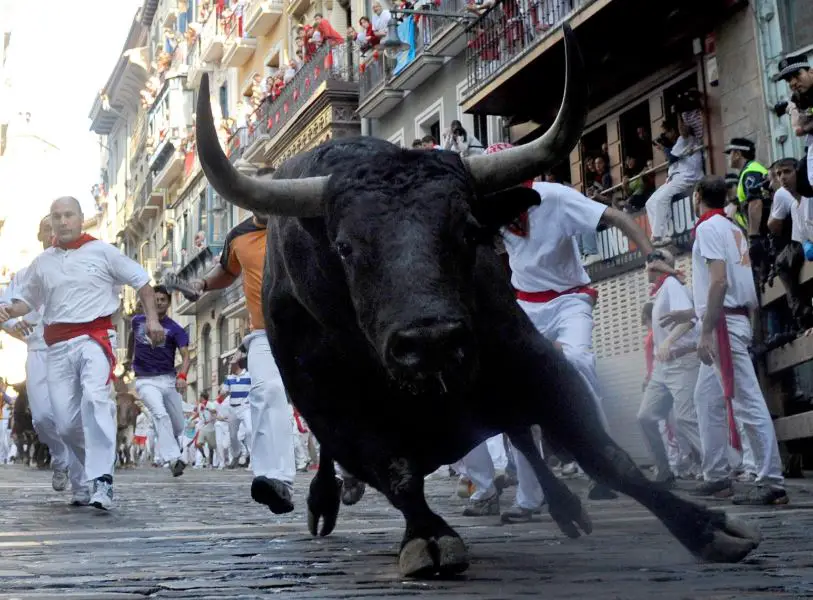 Bull run in Spain, Famous Bull run in Spain