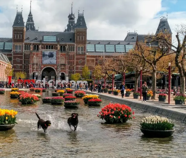  Parks in Amsterdam, best parks in Amsterdam, parks in Amsterdam Netherlands, famous parks in Amsterdam