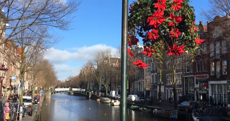  reasons to visit Amsterdam, top 10 reasons to visit Amsterdam, main reasons to visit Amsterdam
