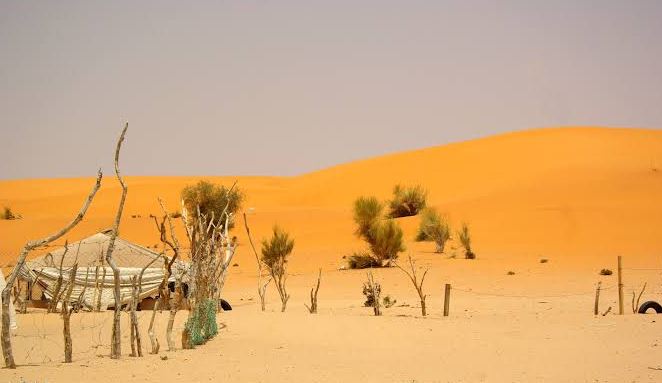 Cities in Mauritania, best cities to visit in Mauritania 