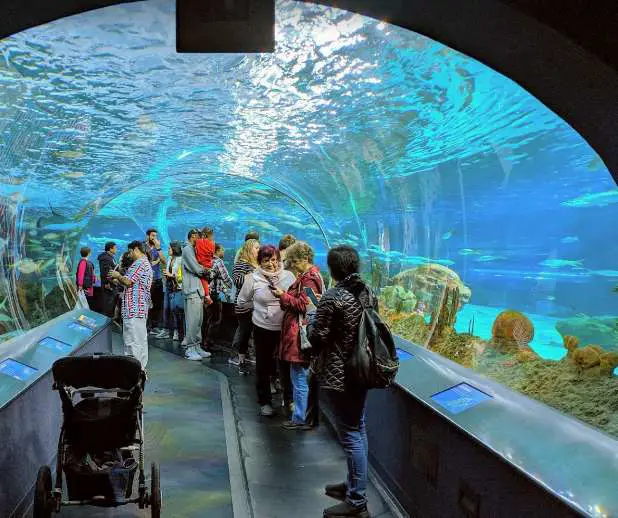 [Image: Ripleys-Aquarium.jpg]