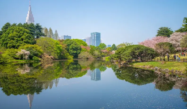 Discover Why Tokyo is famous