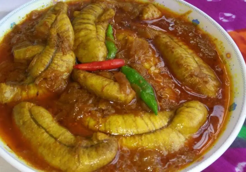 bizarre foods in India, strangest foods in India, most bizzare foods in India