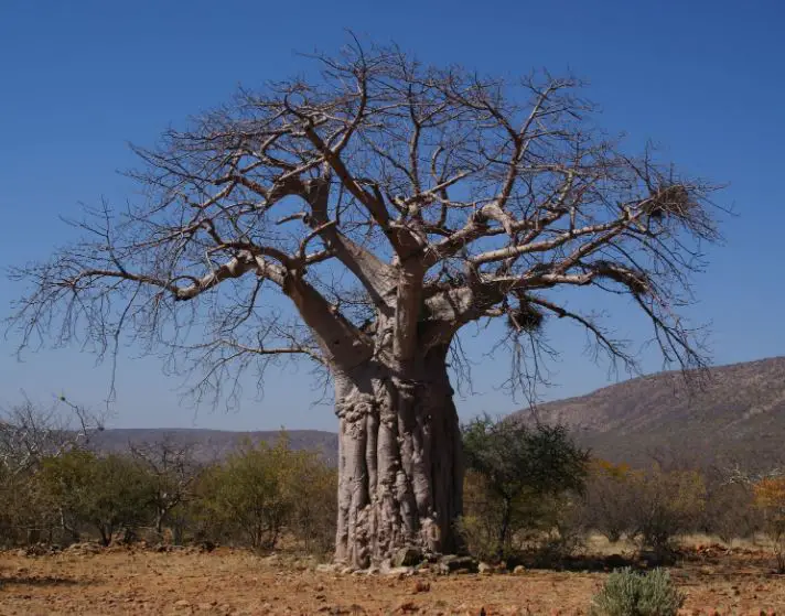 monuments in Namibia, historical places in Namibia, famous monuments in Namibia, religious monuments in Namibia, important monuments in Namibia,