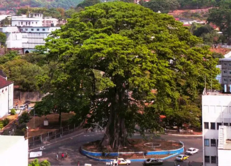 Most Visited Monuments in Sierra Leone l Famous Monuments in Sierra Leone