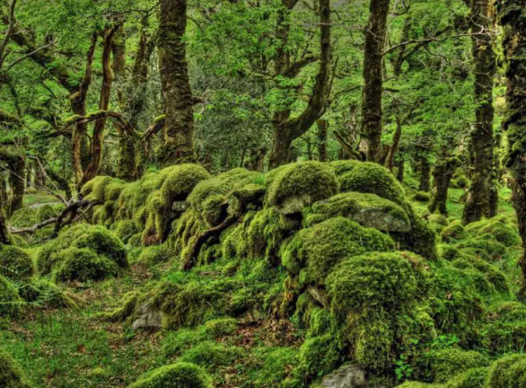 The Best but Unusual Places To See in Ireland