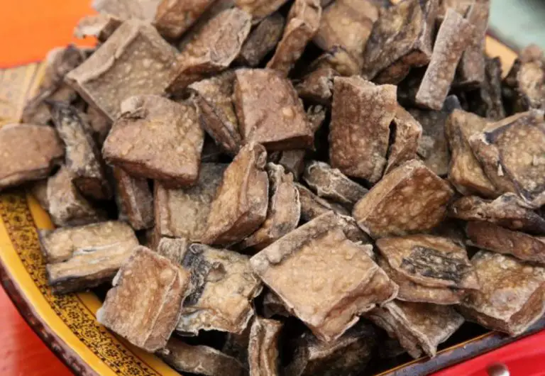 17 Bizarre and Weird Foods in China That People Love to Eat