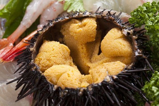 Weird Foods in Japan, Unusual Foods in Japan