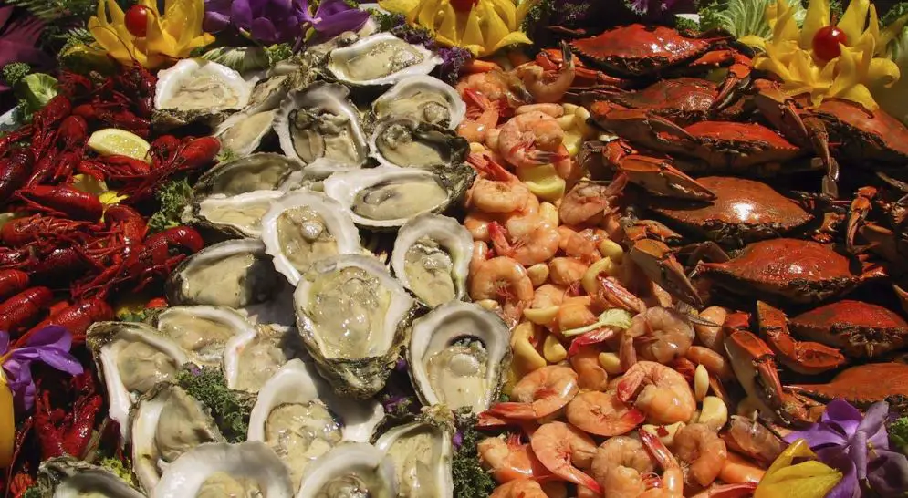 Famous Foods in Capetown You Must Try World Tour & Travel Guide, Get