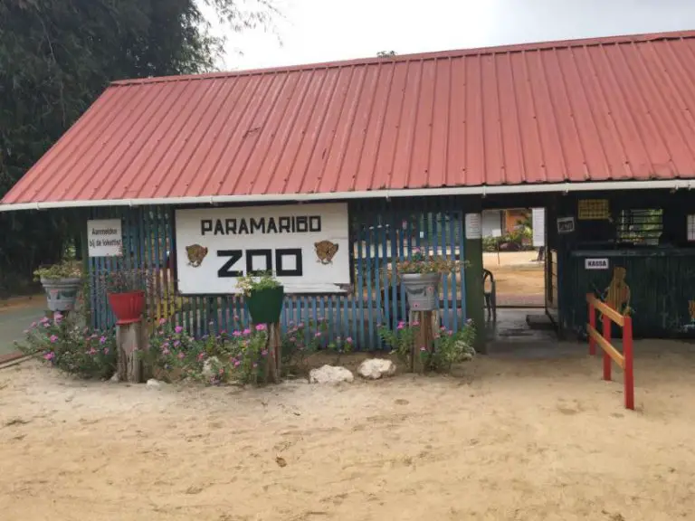 Most Visited Monuments in Suriname l Famous Monuments in Suriname