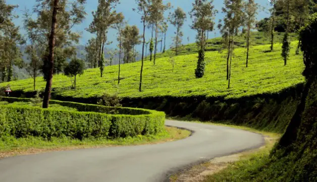 a lively hill station in Kerala, hill station of Kerala to explore, a hill station in Kerala,
