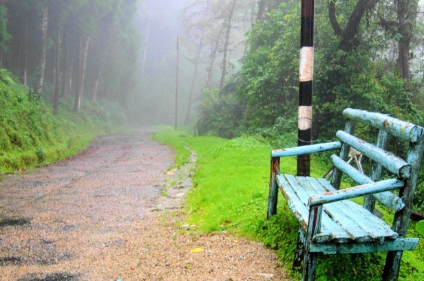 must-see Hill stations of West Bengal, 10 popular hill stations of West Bengal, a hill station in West Bengal, top hill stations in West Bengal, the hill station of West Bengal