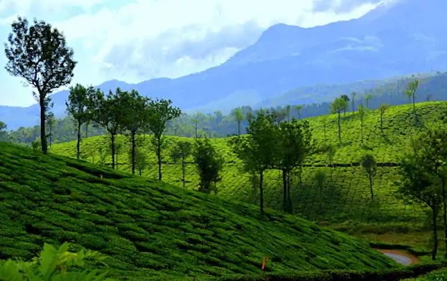 hill station in Kerala to visit, 20 famous hill station of Kerala, a popular hill station in Kerala, Wayanad hill station in Kerala, beautiful hill station of Kerala