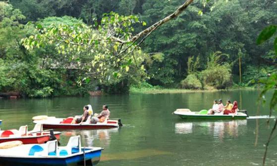 best-known things to do in Wayanad during Rains, things to do in Wayanad this monsoon, top things to do in Wayanad, during Monsoon, famous thing to do in Wayanad for Monsoon, must-do thing in Wayanad during Monsoon, monsoon in Wayanad
