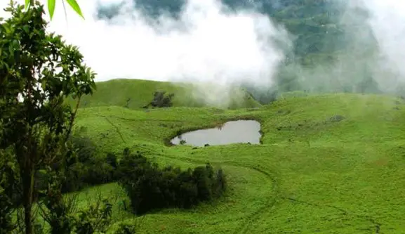 best-known things to do in Wayanad during Rains, things to do in Wayanad this monsoon, top things to do in Wayanad, during Monsoon, famous thing to do in Wayanad for Monsoon, must-do thing in Wayanad during Monsoon, monsoon in Wayanad