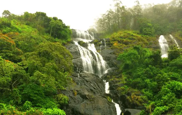  must-try things to do at Munnar in Monsoon, list of 10 famous monsoon things to do in Munnar, top thing to do at Munnar in Monsoon, popular thing to do at Munnar in Monsoon, beauty of Munnar’s monsoon, must-try thing to do in the monsoon of Munnar, Monsoon in Munnar ,