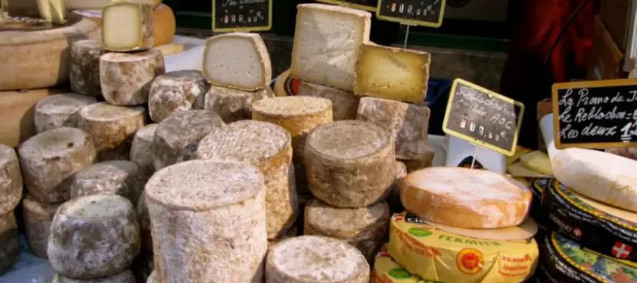 France has more than 1600 varieties of cheese top interesting facts about France, facts about France,20 lesser-known facts about France, facts linked with France