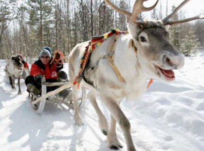 ist of 10 exciting activities to try in Finland on Christmas, best things to do in Finland during Christmas, famous thing to do in Finland on Christmas, trends of Christmas in Finland, must-try thing to do in Finland during Christmas
