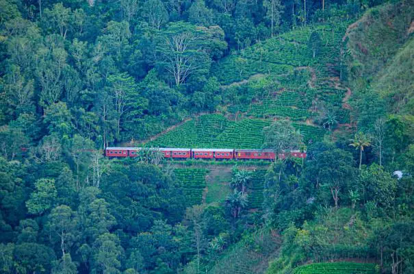 beautiful rail routes in India, Indian railways, fascinating views and adventurous rail routes, Himalayan railway, Darjeeling Himalayan railway, Darjeeling toy train, most sought-after train journey in India
