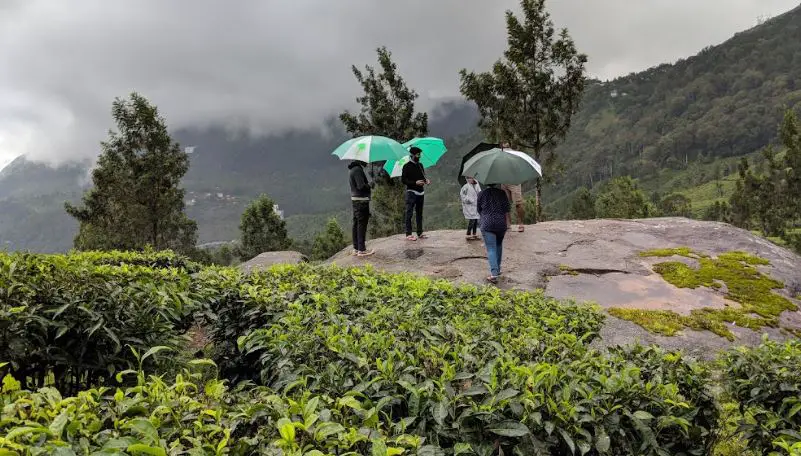 Munnar famous places, top attractions in Munnar, trip to Munnar, attractions in Munnar