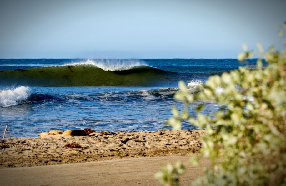 est Surf Spots in California, top 10 surf spots in California