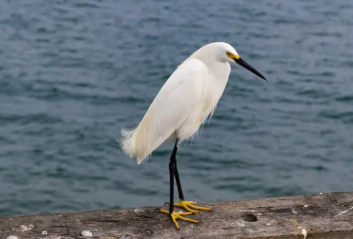 day in Los Angeles, one day in Los Angeles