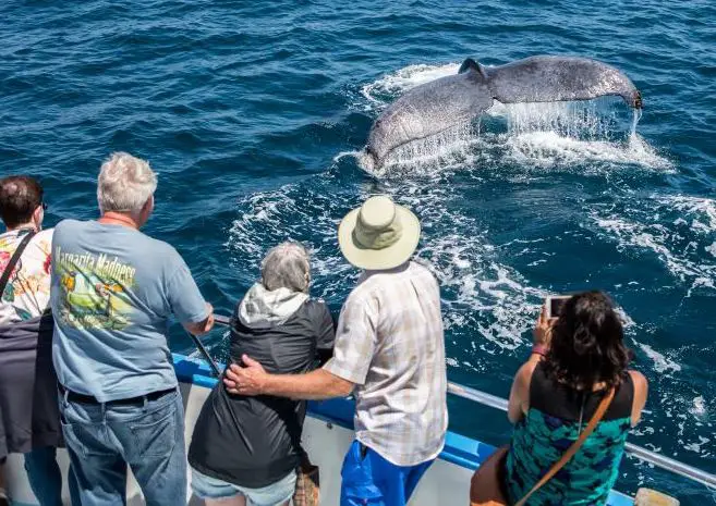 top things to do in Colombia, the best things to do in Colombia, what to do in Colombia