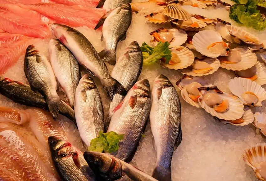 top 9 restaurants in Egypt, top restaurants in Egypt, best restaurants in Egypt