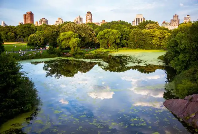 Best Cities in Central African Republic to Visit, Cities in Central African Republic