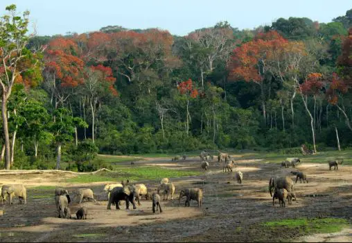 Best Cities in Central African Republic to Visit, Cities in Central African Republic