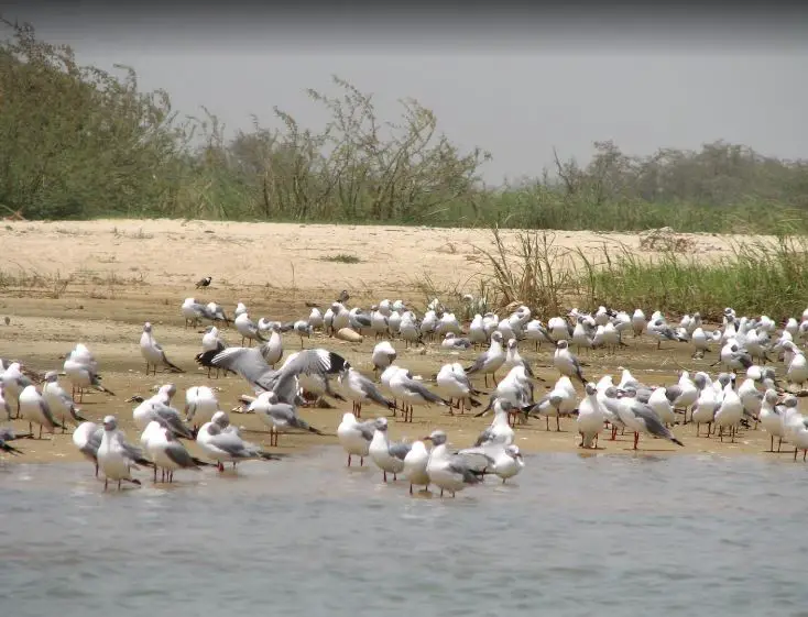 best cities in Chad , top cities in Chad 