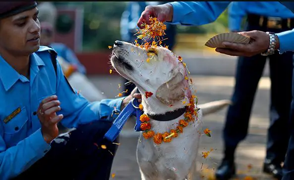 Diwali In Nepal, Diwali celebration in Nepal 