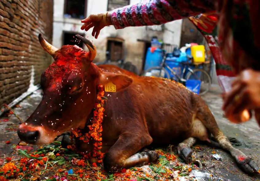 Diwali In Nepal, Diwali celebration in Nepal 