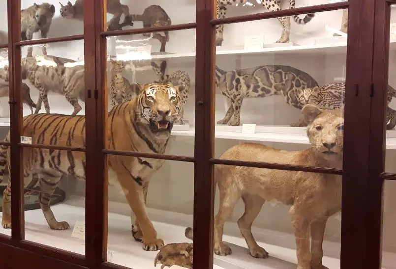 the best places in Florence, the Highest Place in Florence, top places to visit in Florence,