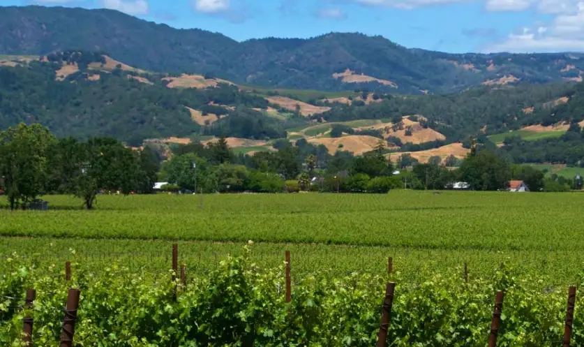 Cities to visit in northern California, Northern California Cities, top cities to visit in northern California,