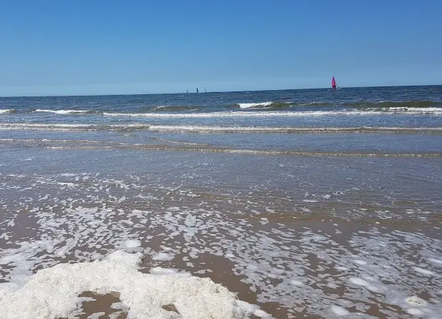 beaches near Amsterdam,best beaches in Amsterdam,are there beaches in Amsterdam,beaches in Amsterdam Netherlands,Amsterdam beaches, top beaches in Amsterdam