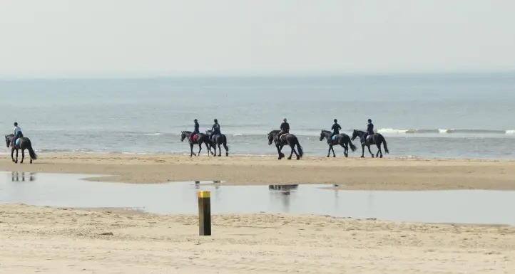 beaches near Amsterdam,best beaches in Amsterdam,are there beaches in Amsterdam,beaches in Amsterdam Netherlands,Amsterdam beaches, top beaches in Amsterdam