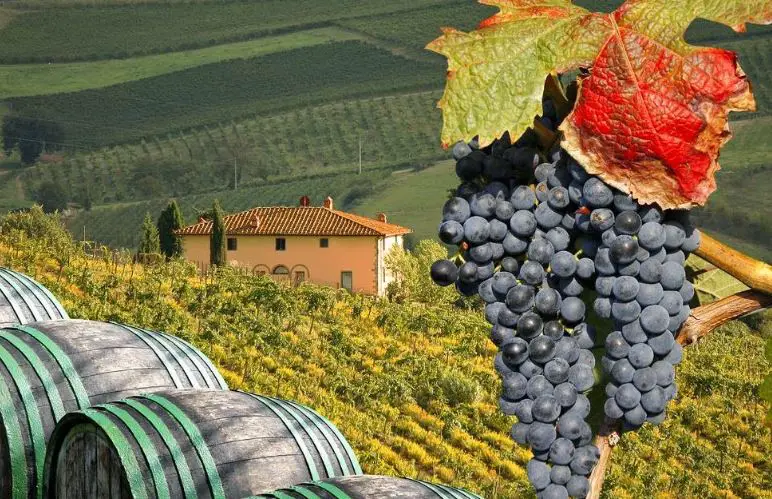 Reason to visit Tuscany, Reason to visit Italy, 