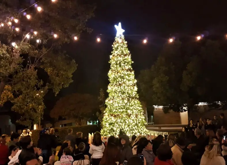 Christmas Celebration in San Francisco