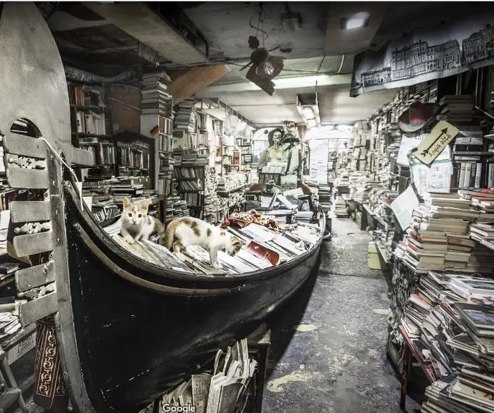 top 10 places to visit in Venice Italy in 2020, best places to visit near Venice in 2020.