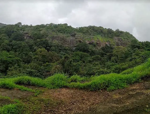 what is Mumbai famous for, what makes Mumbai famous, Mumbai Most popular to visit, local trains in Mumbai