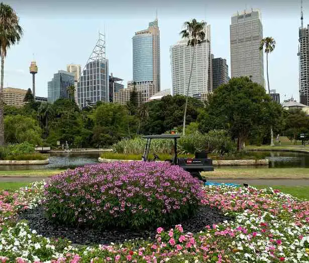 things Sydney is famous for, Sydney popular, Sydney popular to visit, why Sydney is popular